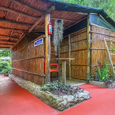 Gala Gala Eco Resort Ponta do Ouro Ngoại thất bức ảnh